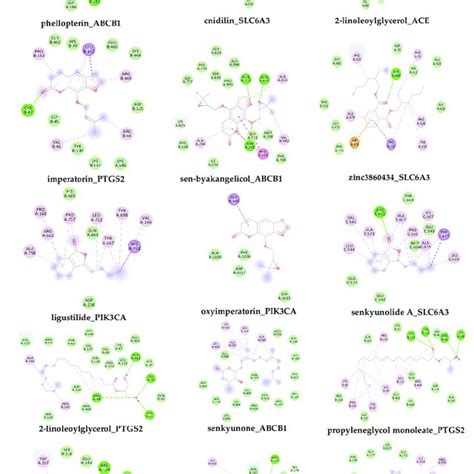 Image result for Protein Complex Function