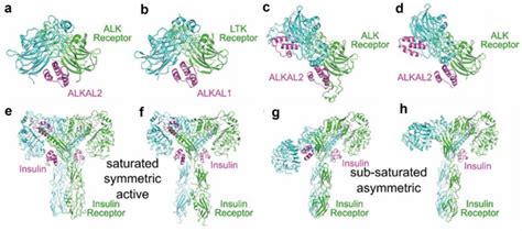 Image result for RTK Structure