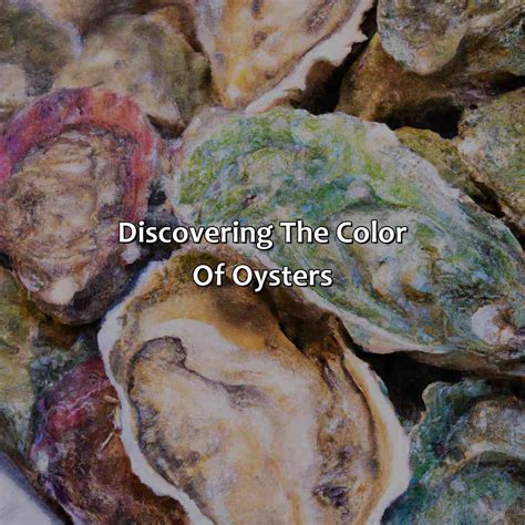 What Color Is Oyster - colorscombo.com