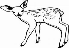 malvorlagen tiere zum ausdrucken quiz ausmalbilder tiere 15 ausmalbilder malvorlagen malvorlagen tiere zum ausdrucken quiz ausmalbilder tiere 15 ausmalbilder malvorlagen