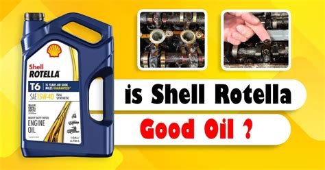 Image result for Shell Rotella Review