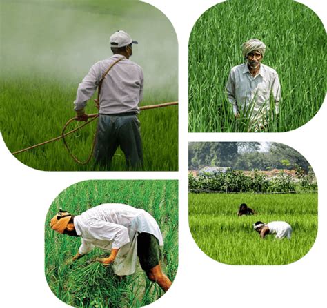 Effective Fungicides by GSP Crop Science Protect Your Crops from Disease