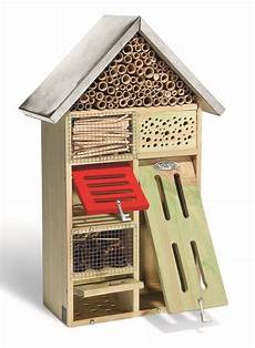 nature et decouverte insectes les enfants au jardin m 234 me en ville nature et decouverte insectes les enfants au jardin m 234 me en ville