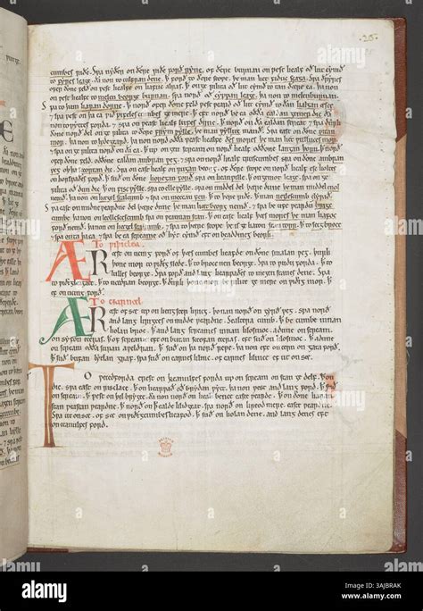 Race Codex Script 的图像结果