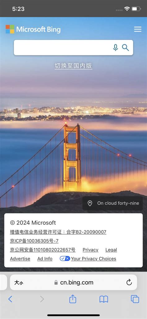 Bing国际版 的图像结果