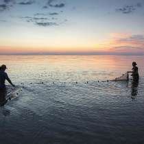 The Nature Conservancy Reviews | Glassdoor