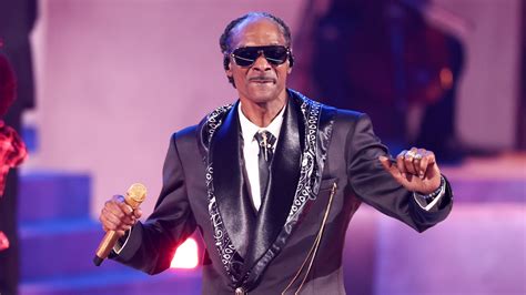 Snoop Dogg-Owned Ice Cream Company Sues Over 'Swizzle' Na... - neleux