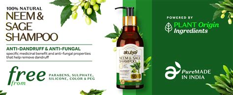 Buy Atulya Neem & Sage Hair Shampoo - Sulphate & Paraben Free (100% ...