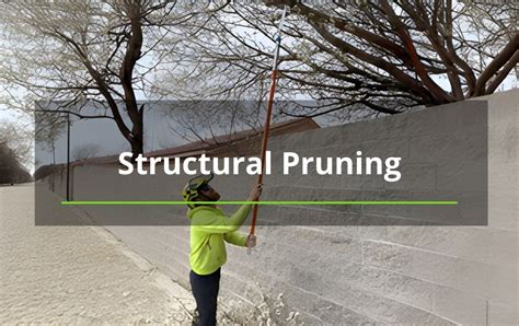 Image result for Structured Pruning