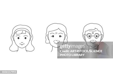 Image result for Life Cycle Animation