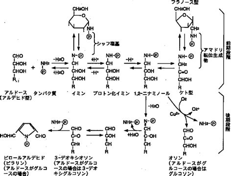 Image result for Example of New Program