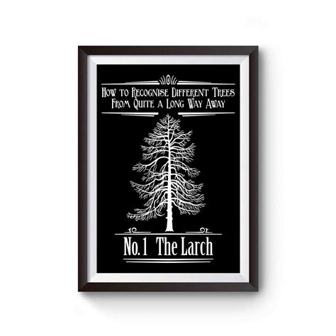 Image result for Monty Python Larch