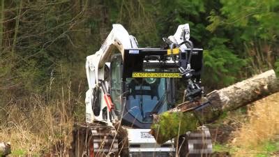 Image result for Valby Grapples