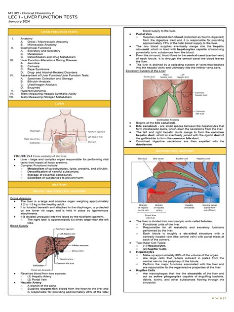 Image result for Liver Function Test Diagram
