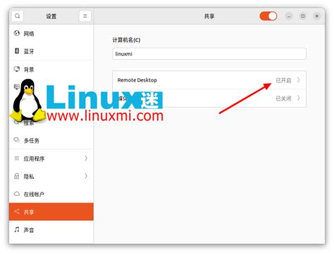 RDP Linux 的图像结果