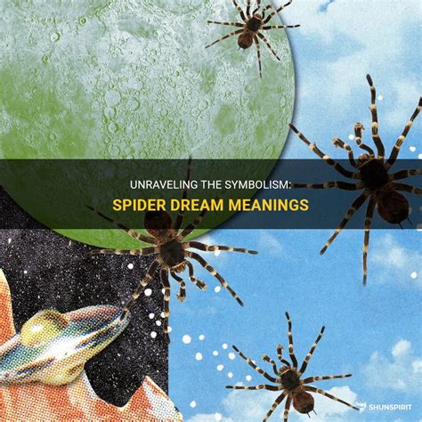 Spider In Dream Meaning
