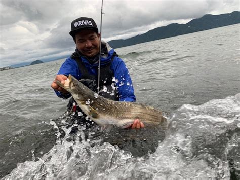 Image result for Conditional Programming in Python