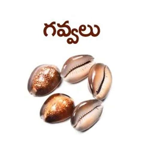 Vaikuntapali Game | Paramapada Sopana Patam | Moksha Pata | Ancient Li ...