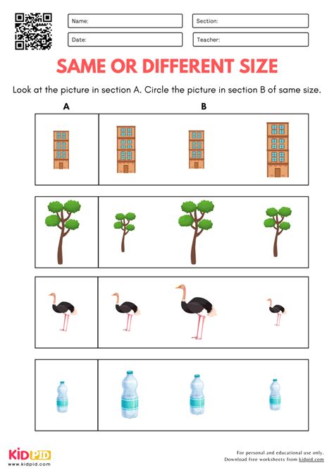 Same Size Worksheet 的图像结果