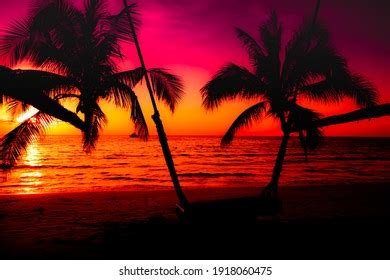 Image result for Sunset Climb O2