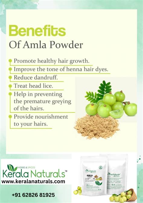 The Secret Weapon for Lustrous Locks: Amla Powder for Hair - Kerala ...