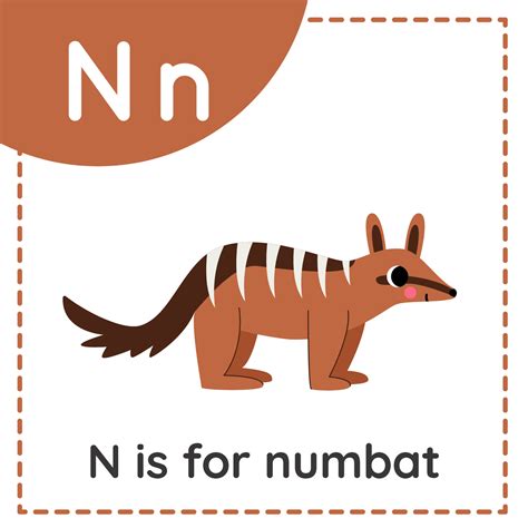Letter N For Kids