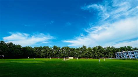 Box Cricket Turf & Cricket Grounds in Gorakhpur | Book Online