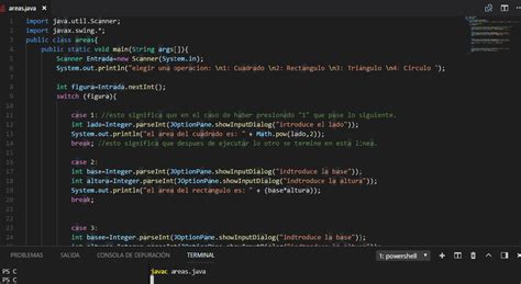 Libreria Scanner Java 的图像结果