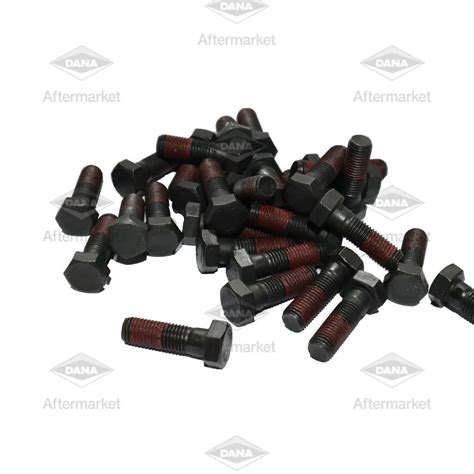 Banjo Bolt SANB1060BB