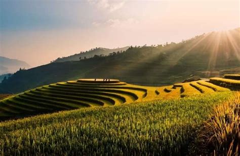 Jatiluwih Green Land: 8 Things To Do In Rice Fields In Bali