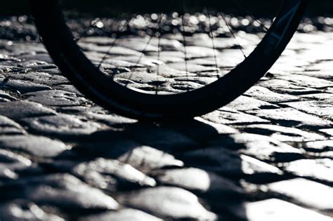 Image result for Paris-Roubaix Cobble Logo