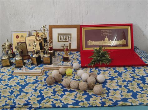 'They said blind can’t play cricket, now we're world champions': 3 ...