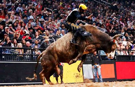 2025 PBR Teams Championship | Oct. 24-26 in Las Vegas