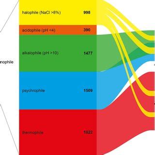 Image result for Bacdive Tutorial