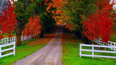 Image result for Fall Nature Desktop Backgrounds