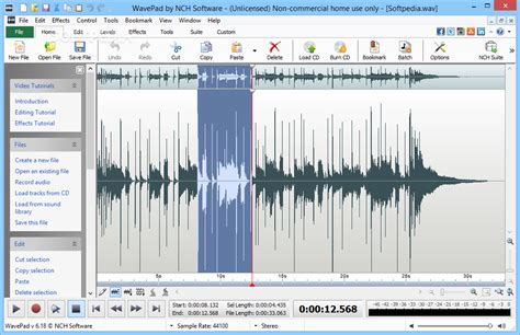Image result for WavePad Sound Editor Code