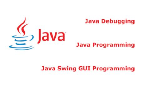 Image result for Java Programming Console