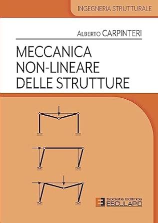 Meccanica Non-Lineare delle Strutture (Collana di Ingegneria ...