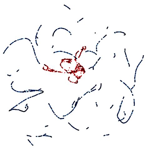 Vector Embedding Visualization 的图像结果