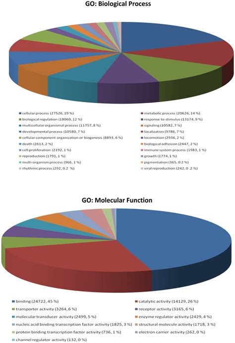 Go Annotation Tools 的图像结果