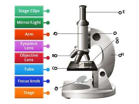 Microscope Label 的图像结果