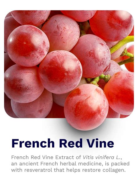 Buy Anti-Ageing Kit With French Red Vine Online