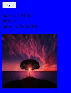 Image result for Nan JavaScript