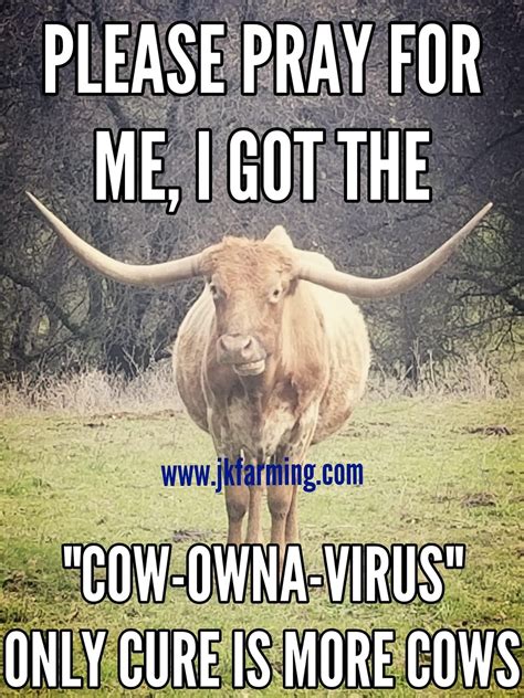 Pin by Elena Dz on Cows funny | Funny animal jokes, Cows funny, Cow quotes