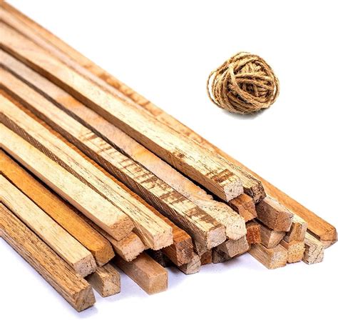 Plant Support Pole for Creepers & Long Plant Support Sticks 5 Feet ...