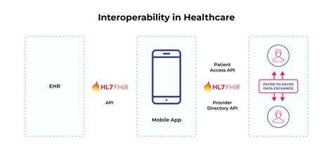 Image result for Delete Fhir RESTful API