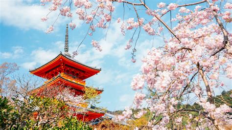 Enjoy the cherry blossoms and the cold! What clothes won't go wrong on a trip to Japan in March?