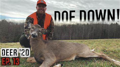 Maine Deer Hunting Doe Permits at Byron Wells blog