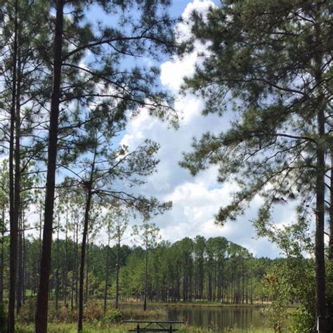 Magnolia Branch Wildlife Reserve Camping | Atmore, Alabama
