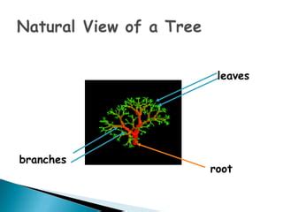 Data Structure Tree Leaf to Root 的图像结果